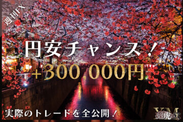 今がチャンス！円安に乗って利益30万円越え！